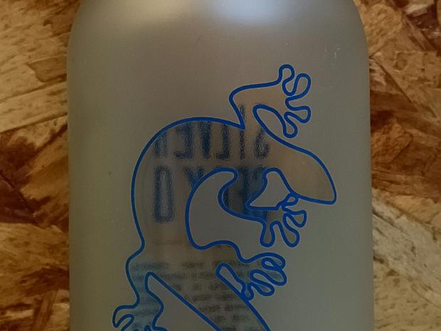 Silver Gecko